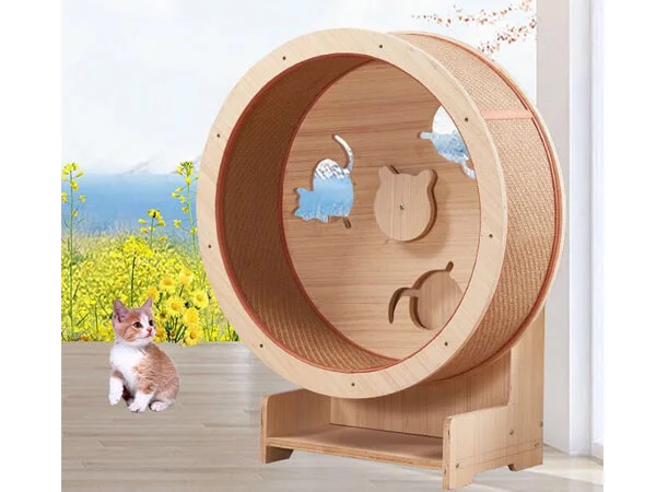 cat exercise wheel